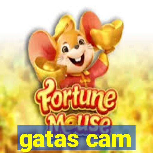 gatas cam